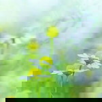 Nurmi Usman profile icon