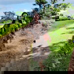 Eunice Relato profile icon