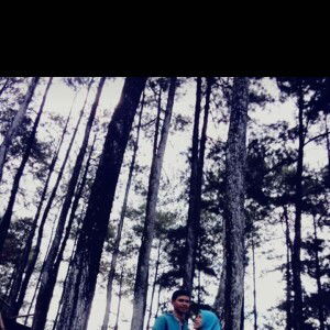 Lisakalim profile icon