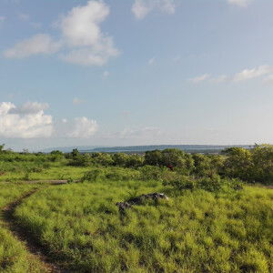 Kyq Hart profile icon