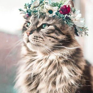 Suci Fitriyah profile icon