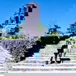 Tosni Mayol profile icon