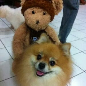 ชมพูนุช สัมพัจฉรากุล profile icon