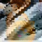 ชมพูนุช สัมพัจฉรากุล profile icon