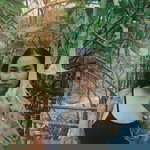 thatsuang profile icon