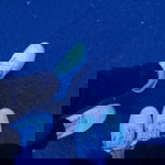 jesita amriani wardinata profile icon