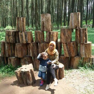 Dede Nur Azizah profile icon