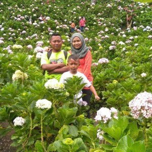 Nurul Aini profile icon