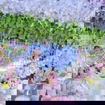 Windul Pesek profile icon