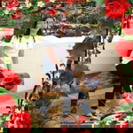 Sena Laqui profile icon