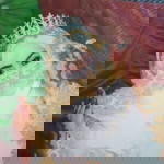 Ria Herawati profile icon