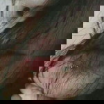 Jiehyung Alonzo profile icon