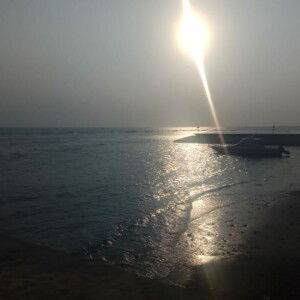 Nayya Pawit profile icon