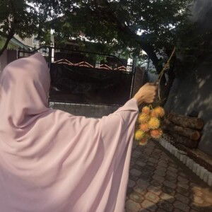 نور ازيزه profile icon