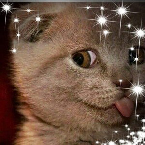 bunda abrar profile icon