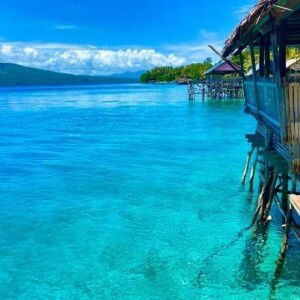 Rialyn Japson profile icon