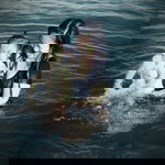 Katrina Quibin Agustin profile icon