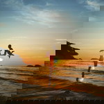 Anda Land profile icon