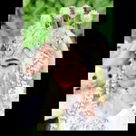 Ayu Rahmawati profile icon