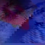 ecra_ge.yram27 profile icon