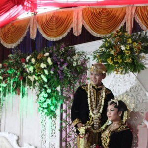 Llia Amell profile icon