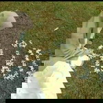 ReNi Anggreani profile icon