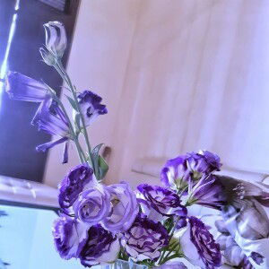 Hằng Hằng profile icon