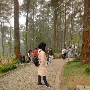 Lany Nuryanii profile icon