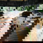 Mona Chan profile icon