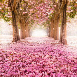 Ratna Asmitanty profile icon