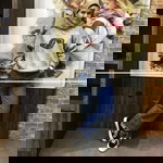 olly changnaraa profile icon