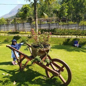 Elvira Firdausi profile icon