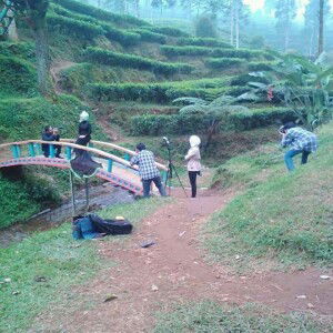 Lestari Tari profile icon