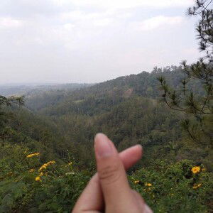 Tiaz Niqo profile icon