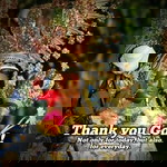 Renz Cel profile icon