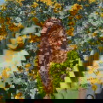 น้องง' ฝุ่น profile icon