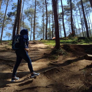 Pitria Pitriani profile icon