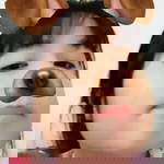 บอกก็ รู้ดิ่ profile icon