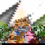 Shi Enenk profile icon