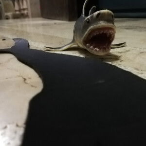 marivic mandanas profile icon