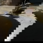 marivic mandanas profile icon