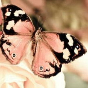 Dwi Komala Dewi profile icon