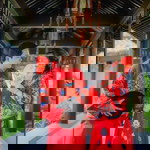 Car Toon profile icon