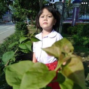 Amtaewz Artyotha profile icon