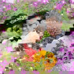 Yến Nhi profile icon