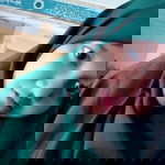 dua'ana mustaqorillah profile icon