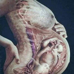 Revellame R Zhian profile icon