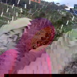 ulfa amalia profile icon