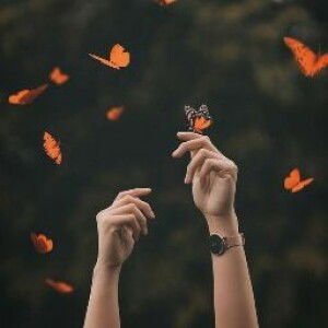 PhimWi CH profile icon