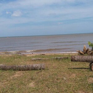 Aluh Banjar profile icon